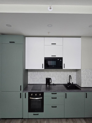 Сдам однокомнатную (1-комн.) квартиру, Витебский пр-кт, 99к1, Санкт-Петербург г