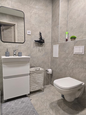 Сдам однокомнатную (1-комн.) квартиру, Витебский пр-кт, 99к1, Санкт-Петербург г