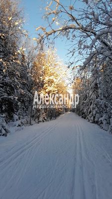 Продам дачу, Озерная ул, 28, Токсово гп, 15 км от города