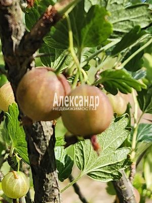 Продам дом, Цветково п, 110 км от города