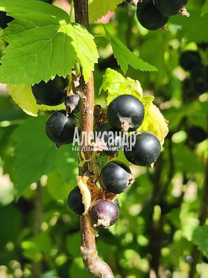 Продам дом, Цветково п, 110 км от города