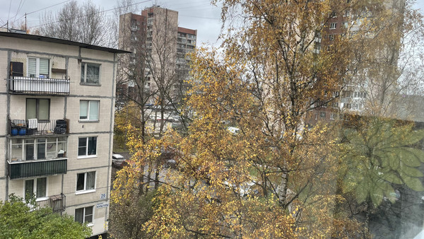 Продам комнату в 3-комн. квартире, Культуры пр-кт, 29Ак7, Санкт-Петербург г