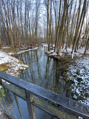 Продам двухкомнатную (2-комн.) квартиру, Б.Учительская ул, 17, Родники дп