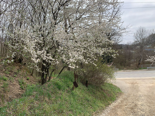 Продам участок 7 соток, ИЖС, Майкопская ул, Индюк с, 0 км от города