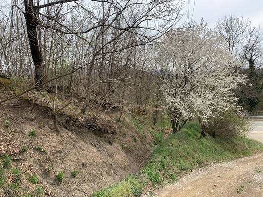 Продам участок 7 соток, ИЖС, Майкопская ул, Индюк с, 0 км от города