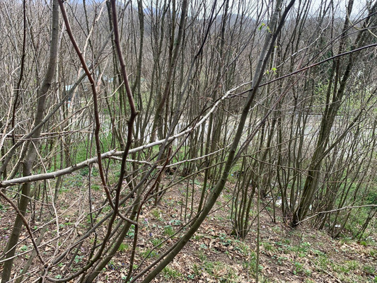 Продам участок 7 соток, ИЖС, Майкопская ул, Индюк с, 0 км от города