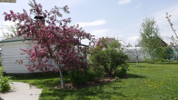 Продам дом, Виноградная ул, Григорово д, 0 км от города