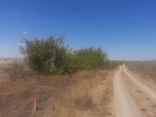 Продам землю для коммерческого использования 3,5 соток, Фермерское хоз., Скалистое с