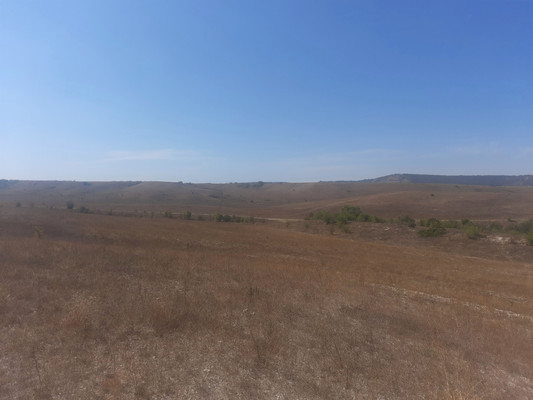 Продам землю для коммерческого использования 3,5 соток, Фермерское хоз., Скалистое с