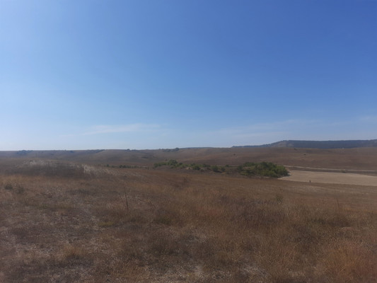 Продам землю для коммерческого использования 3,5 соток, Фермерское хоз., Скалистое с