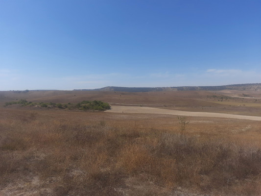 Продам землю для коммерческого использования 3,5 соток, Фермерское хоз., Скалистое с