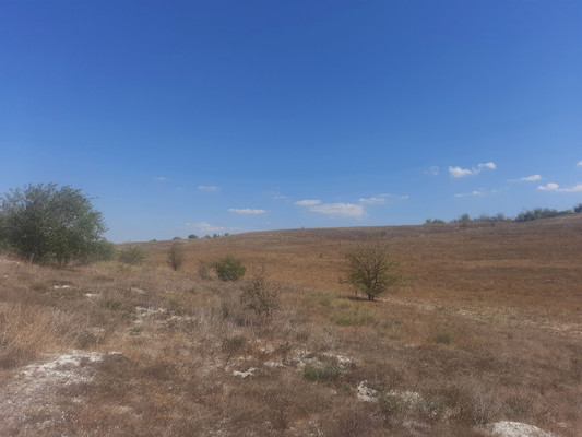 Продам землю для коммерческого использования 3,5 соток, Фермерское хоз., Скалистое с