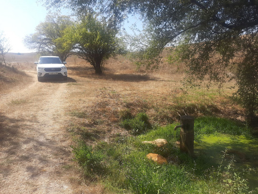 Продам землю для коммерческого использования 3,5 соток, Фермерское хоз., Скалистое с