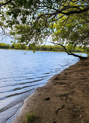 Продам коттедж, Лиственная ул, 17А, Тимофеево д, 0 км от города