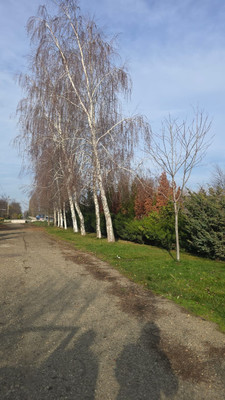 Продам дом, Южная (Восток снт) ул, 527, Ленина х, 0 км от города