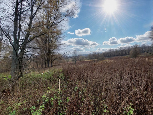 Продам участок 40 соток, ИЖС, Чехов-3 г, 0 км от города