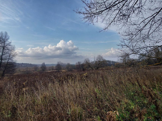 Продам участок 40 соток, ИЖС, Чехов-3 г, 0 км от города