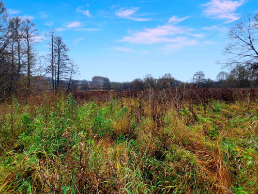 Продам участок 40 соток, ИЖС, Чехов-3 г, 0 км от города