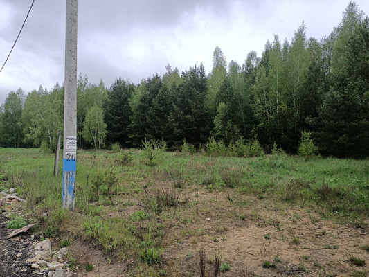 Продам участок 14 соток, Садоводство, Ёлкино тер, Раменское г, 0 км от города