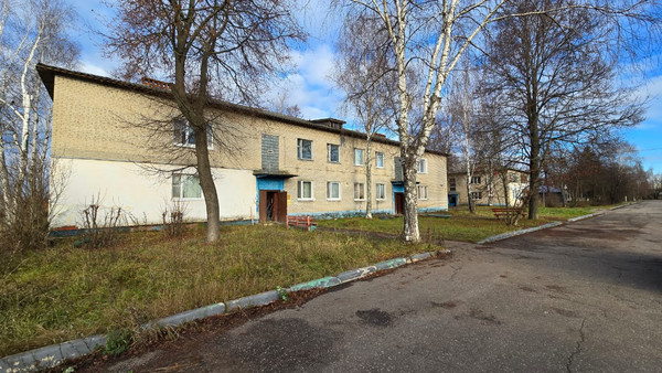 Продам однокомнатную (1-комн.) квартиру, Новая ул, 19, Панино д