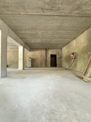 Продам коммерческое помещение 130 м2, Биттирова ул, 156ка, Белая Речка с