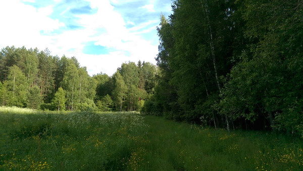 Продам землю для коммерческого использования 540 соток, Фермерское хоз., Малые Парфенки д