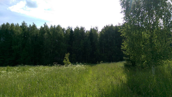 Продам землю для коммерческого использования 540 соток, Фермерское хоз., Малые Парфенки д