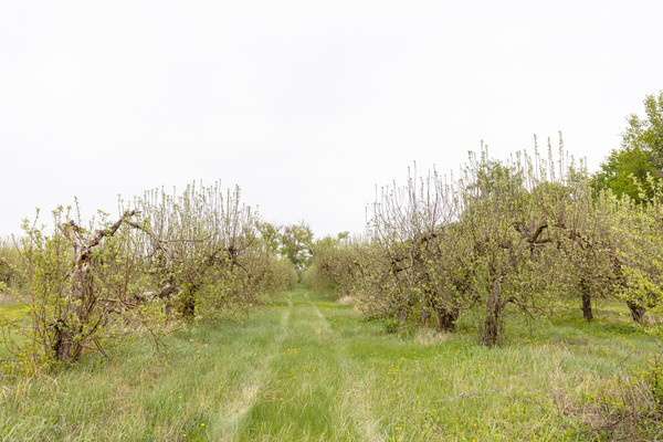 Продам землю для коммерческого использования 926 соток, Фермерское хоз., Верхняя Катуховка с