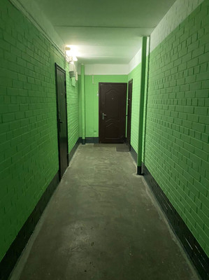 Продам однокомнатную (1-комн.) квартиру, Ветеранов пр-кт, 144/21А, Санкт-Петербург г