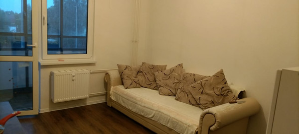 Сдам однокомнатную (1-комн.) квартиру, Муринская дор, 9к3, Санкт-Петербург г