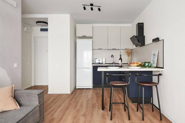 Сдам однокомнатную (1-комн.) квартиру, Большой Сампсониевский пр-кт, 69к5, Санкт-Петербург г