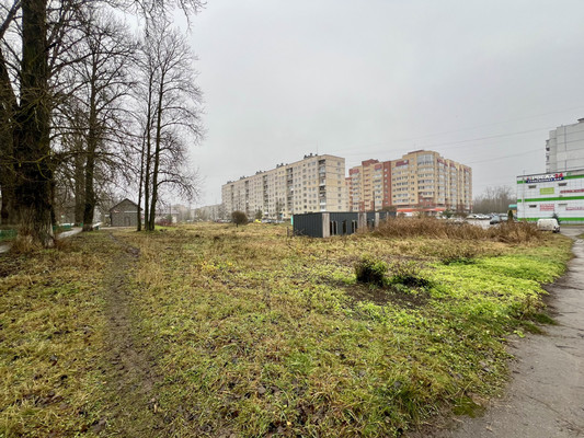 Продам землю для коммерческого использования 71 соток, Садоводство, Малоневский канал ул, 14, Шлиссельбург г