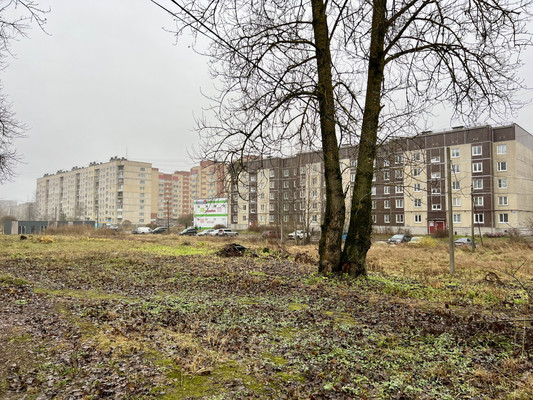 Продам землю для коммерческого использования 71 соток, Садоводство, Малоневский канал ул, 14, Шлиссельбург г