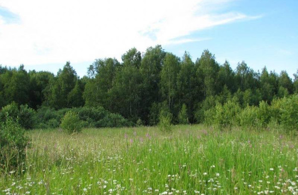 Продам землю для коммерческого использования 540 соток, Фермерское хоз., Малые Парфенки д