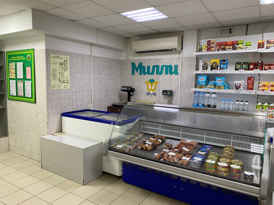 Продам коммерческое помещение 334 м2, Восстания ул, 62, Казань г