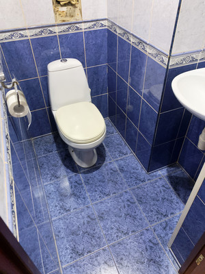 Продам трехкомнатную (3-комн.) квартиру, Летний пер, 33, Архангельское п