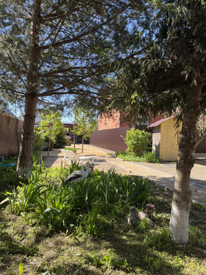 Продам дом, Рассказовка снт, 0 км от города