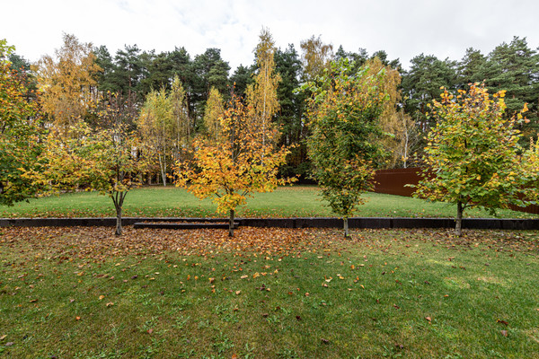 Продам дом, Лесная ул, Глухово д, 0 км от города