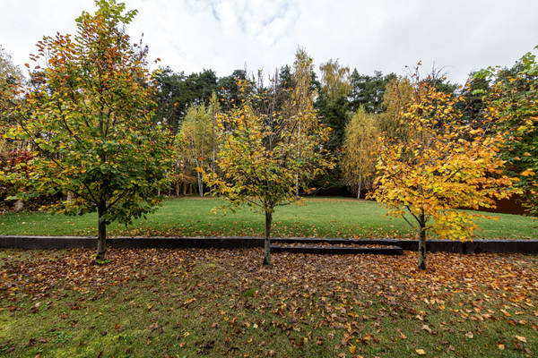 Продам дом, Лесная ул, Глухово д, 0 км от города