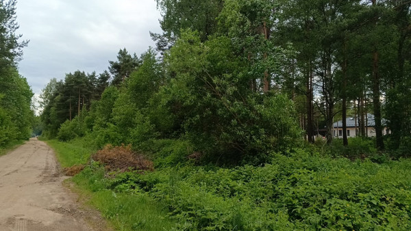 Продам участок 9,4 соток, ИЖС, Шлиссельбуржец тер. СНТ, 0 км от города