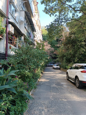 Продам трехкомнатную (3-комн.) квартиру, Шоссейная (Хостинский р-н) ул, 5кв, Сочи г