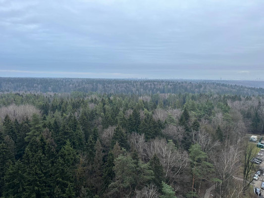 Сдам двухкомнатную (2-комн.) квартиру, Игоря Мерлушкина ул, 6, Красногорск г