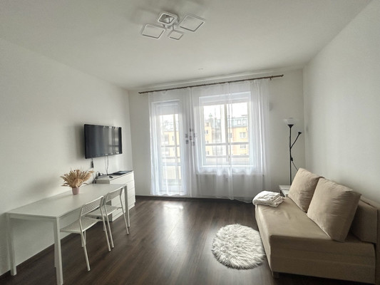 Сдам однокомнатную (1-комн.) квартиру, Дудко ул, 3, Санкт-Петербург г