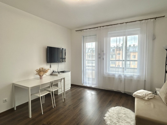 Сдам однокомнатную (1-комн.) квартиру, Дудко ул, 3, Санкт-Петербург г