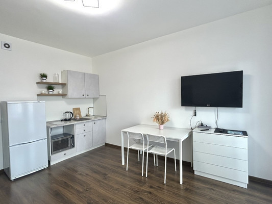 Сдам однокомнатную (1-комн.) квартиру, Дудко ул, 3, Санкт-Петербург г