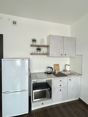 Сдам однокомнатную (1-комн.) квартиру, Дудко ул, 3, Санкт-Петербург г