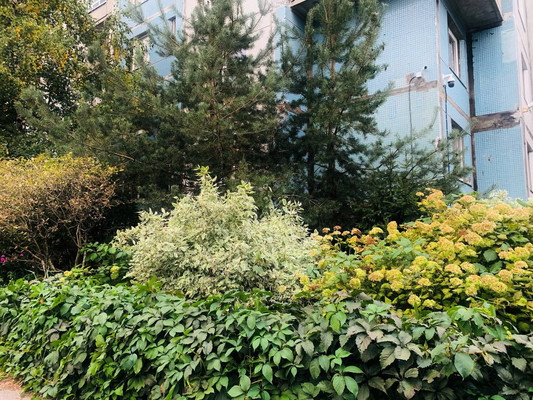 Сдам комнату в 2-комн. квартире, Кораблестроителей ул, 42к1, Санкт-Петербург г