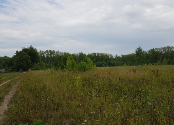 Продам участок 45 соток, ИЖС, Никитино д, 0 км от города