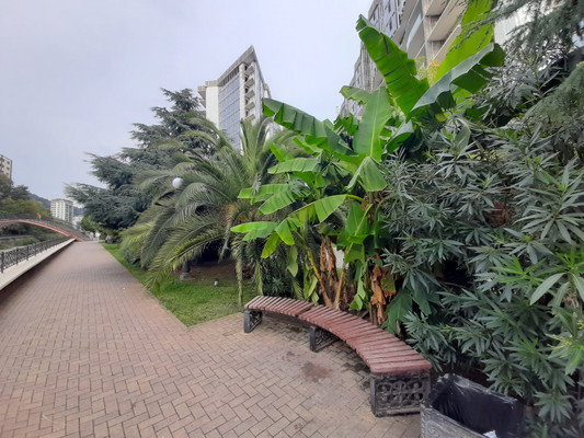 Продам однокомнатную (1-комн.) квартиру, Волжская (Центральный р-н) ул, 42/1, Сочи г