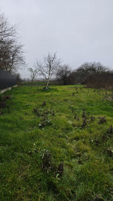 Продам участок 40 соток, ИЖС, Подсолнечная ул, 101, Октябрьский х, 0 км от города